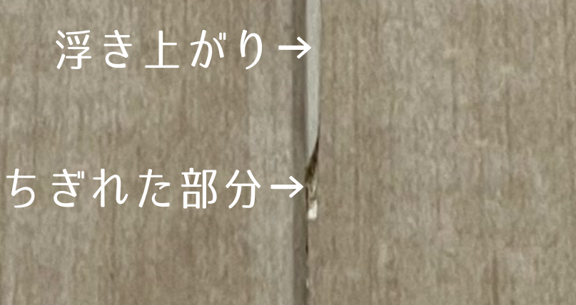 処理が甘く、浮き上がりと千切れが発生したCF