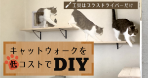 キャットウォークを低コストでDIY | 据え付け型後付けキャットウォーク