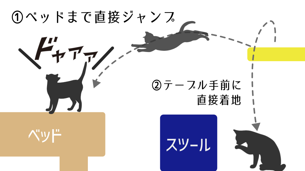 猫はこちらの意図とは違う動きをする